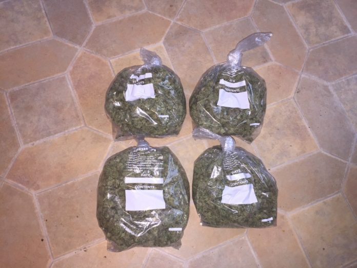 Kash Brookes cannabis bags