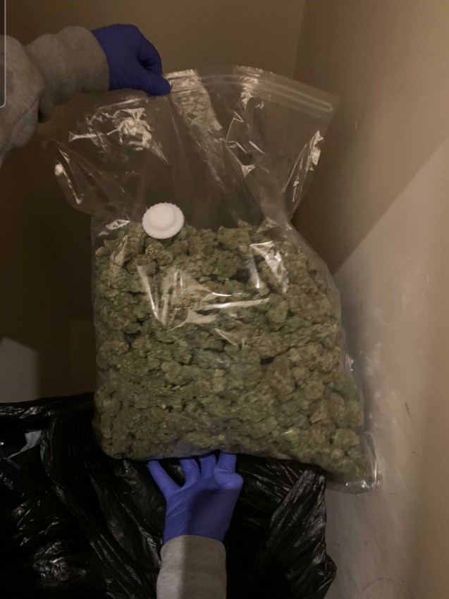 cannabis haul