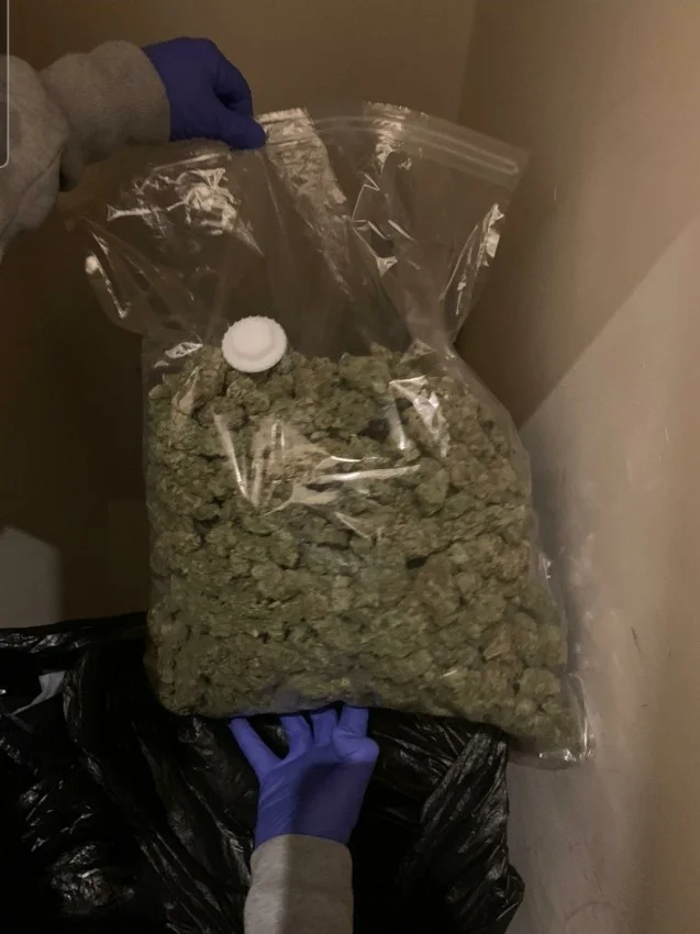 Police seize significant quantity of cocaine across Notts as Operation Reacher continues to yield results cannabis haul