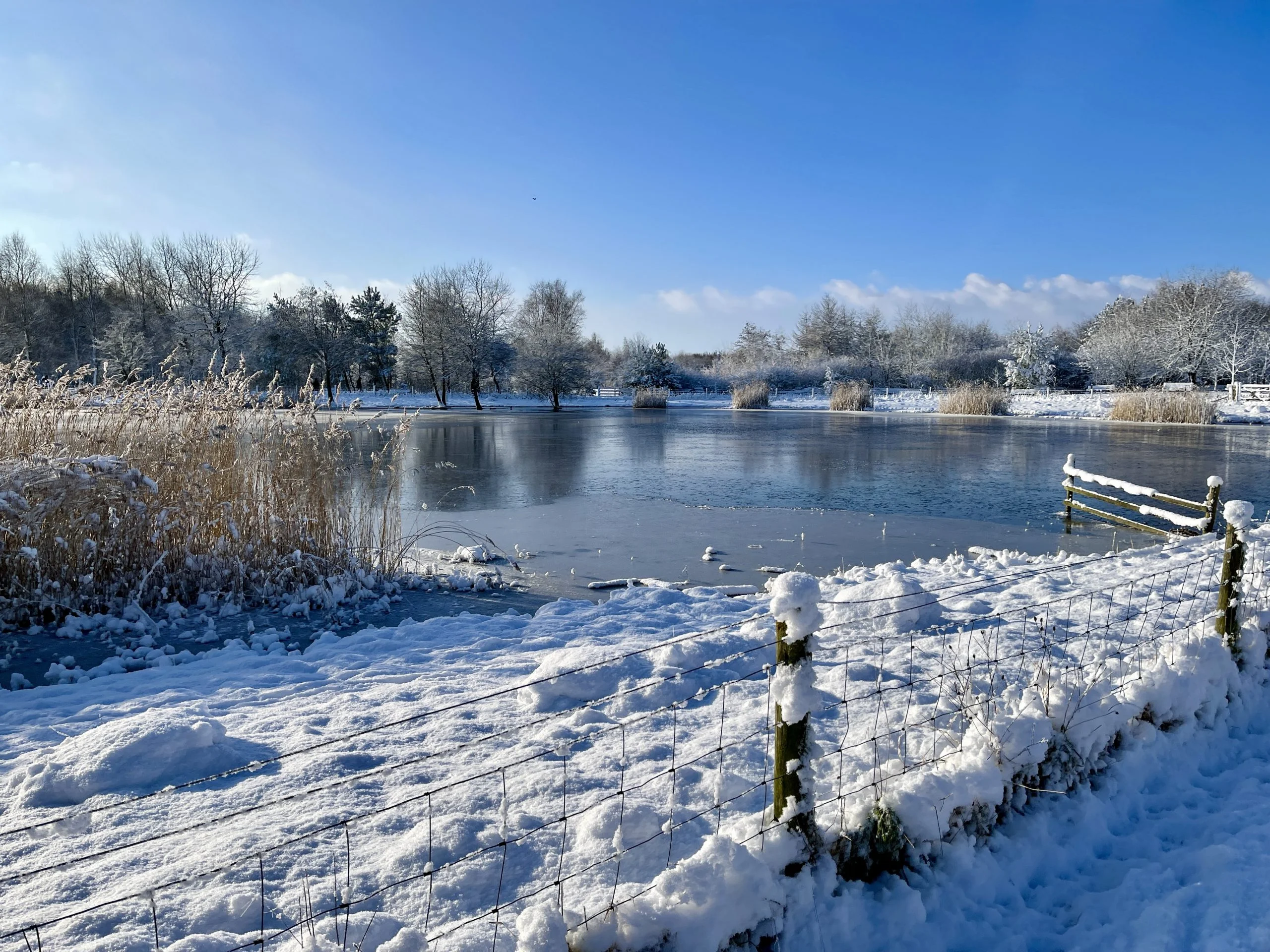 38 Pictures: Rushcliffe Country Park transformed into magical winter wonderland Rushcliffe Country Park - 25 January 2021 © westbridgfordwire.com