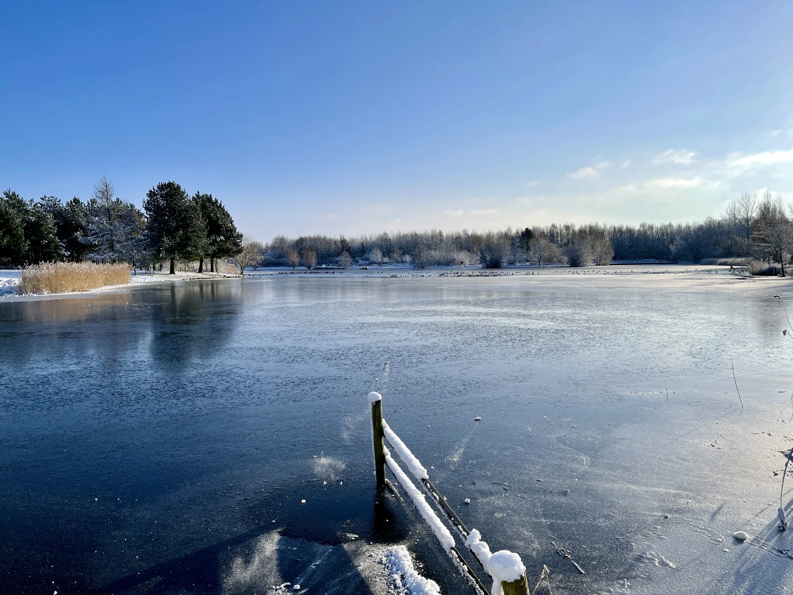 38 Pictures: Rushcliffe Country Park transformed into magical winter wonderland Rushcliffe Country Park - 25 January 2021 © westbridgfordwire.com