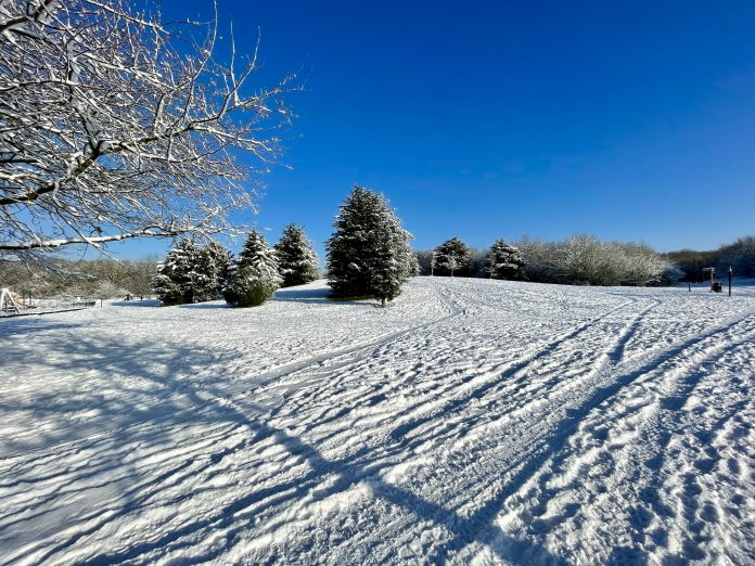 IMG_1683 Rushcliffe Country Park - 25 January 2021 © westbridgfordwire.com
