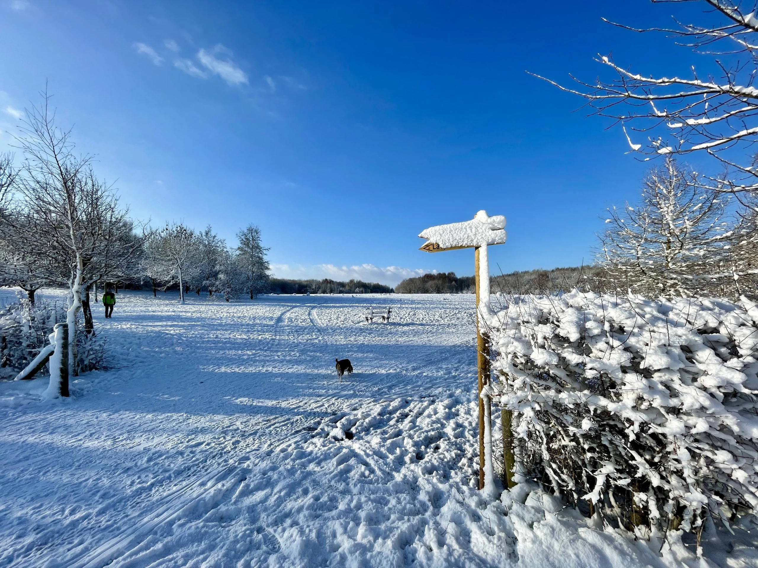 38 Pictures: Rushcliffe Country Park transformed into magical winter wonderland Rushcliffe Country Park - 25 January 2021 © westbridgfordwire.com