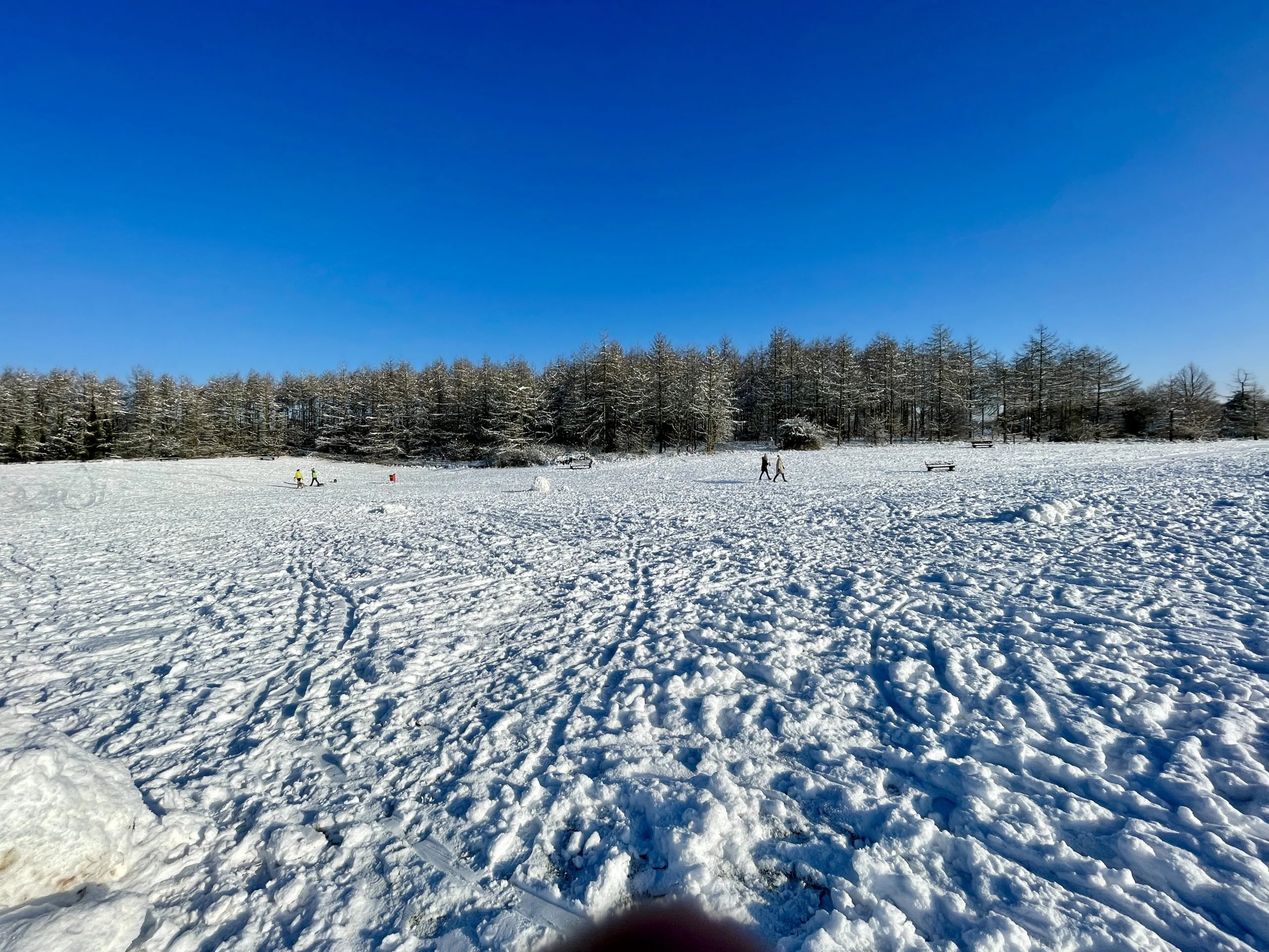 38 Pictures: Rushcliffe Country Park transformed into magical winter wonderland Rushcliffe Country Park - 25 January 2021 © westbridgfordwire.com