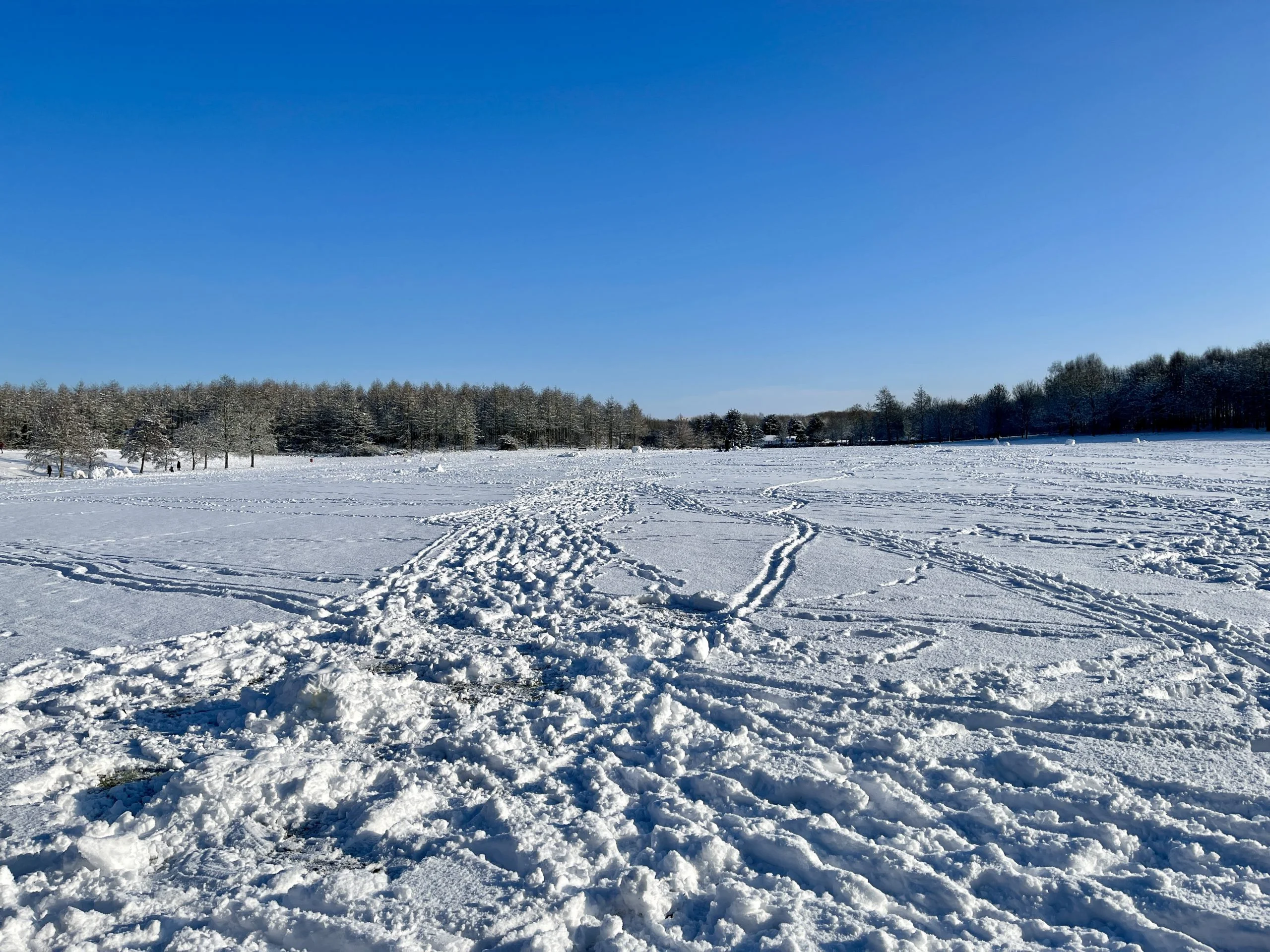 38 Pictures: Rushcliffe Country Park transformed into magical winter wonderland Rushcliffe Country Park - 25 January 2021 © westbridgfordwire.com