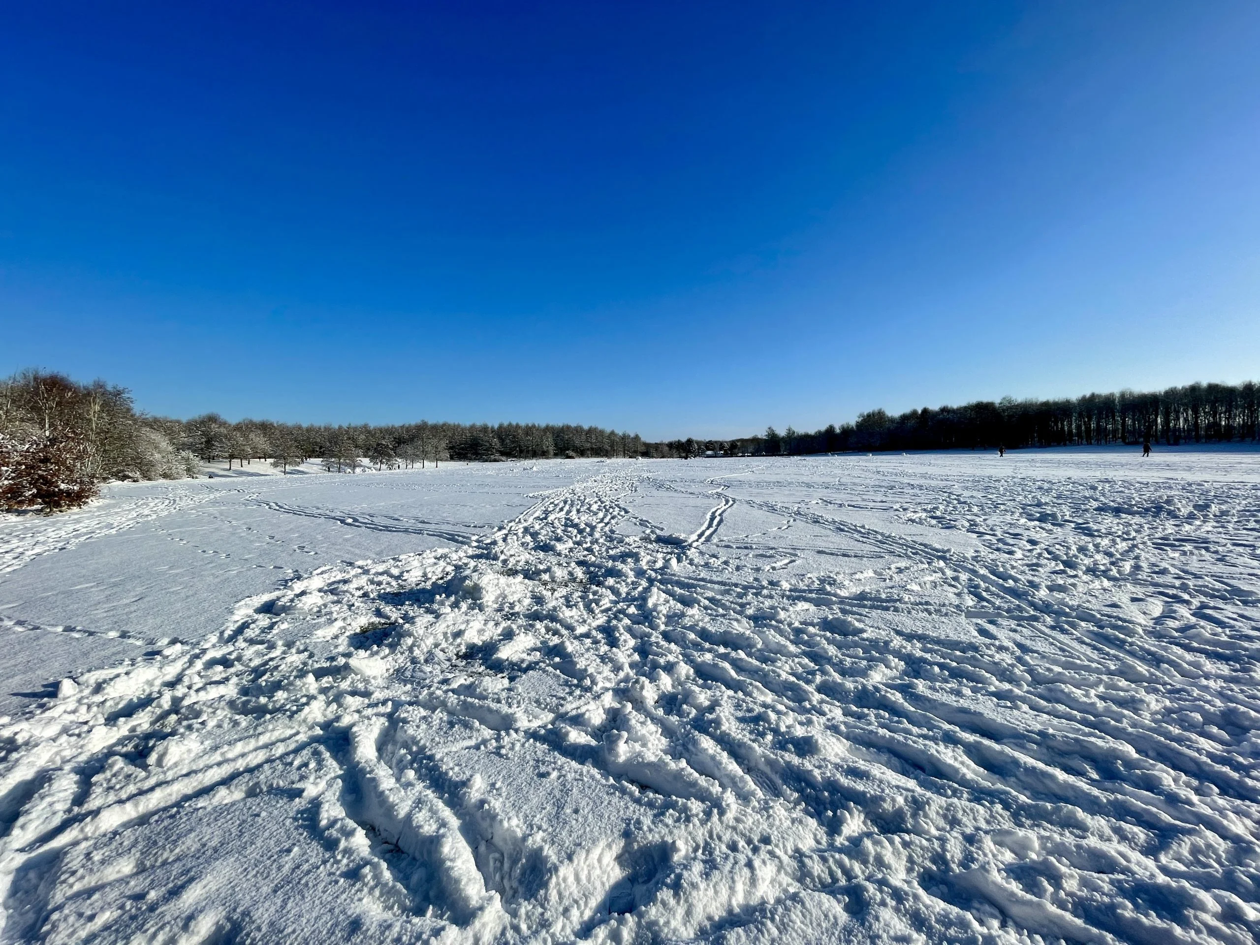 38 Pictures: Rushcliffe Country Park transformed into magical winter wonderland Rushcliffe Country Park - 25 January 2021 © westbridgfordwire.com