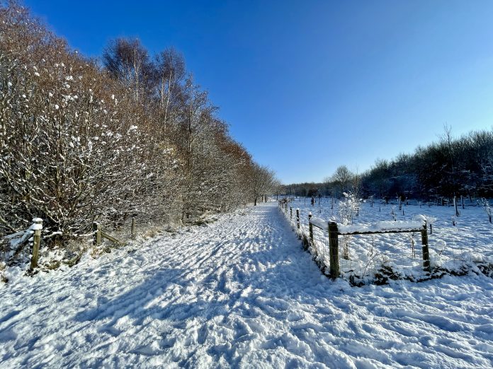 Rushcliffe Country Park - 25 January 2021 © westbridgfordwire.com