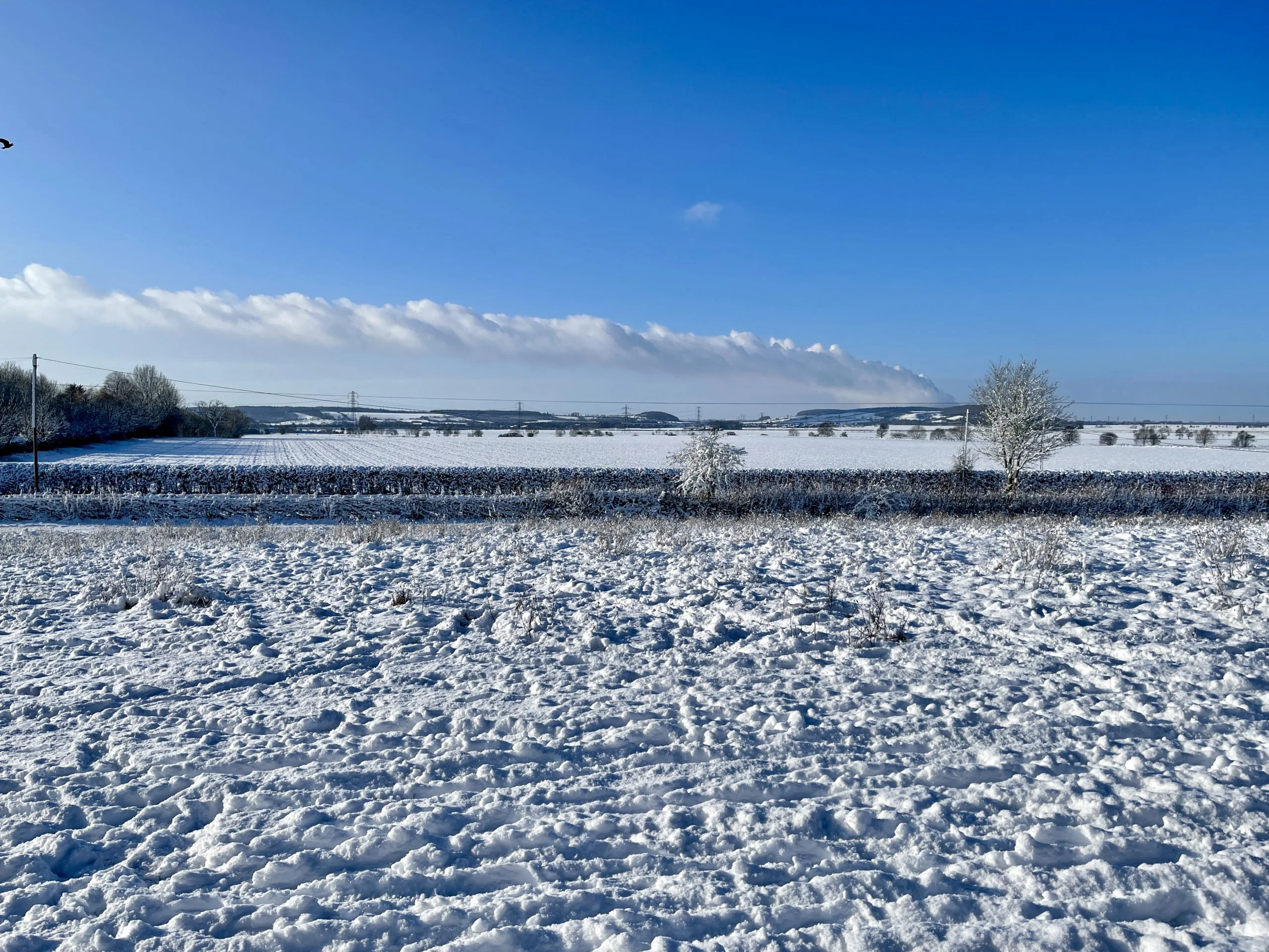38 Pictures: Rushcliffe Country Park transformed into magical winter wonderland Rushcliffe Country Park - 25 January 2021 © westbridgfordwire.com