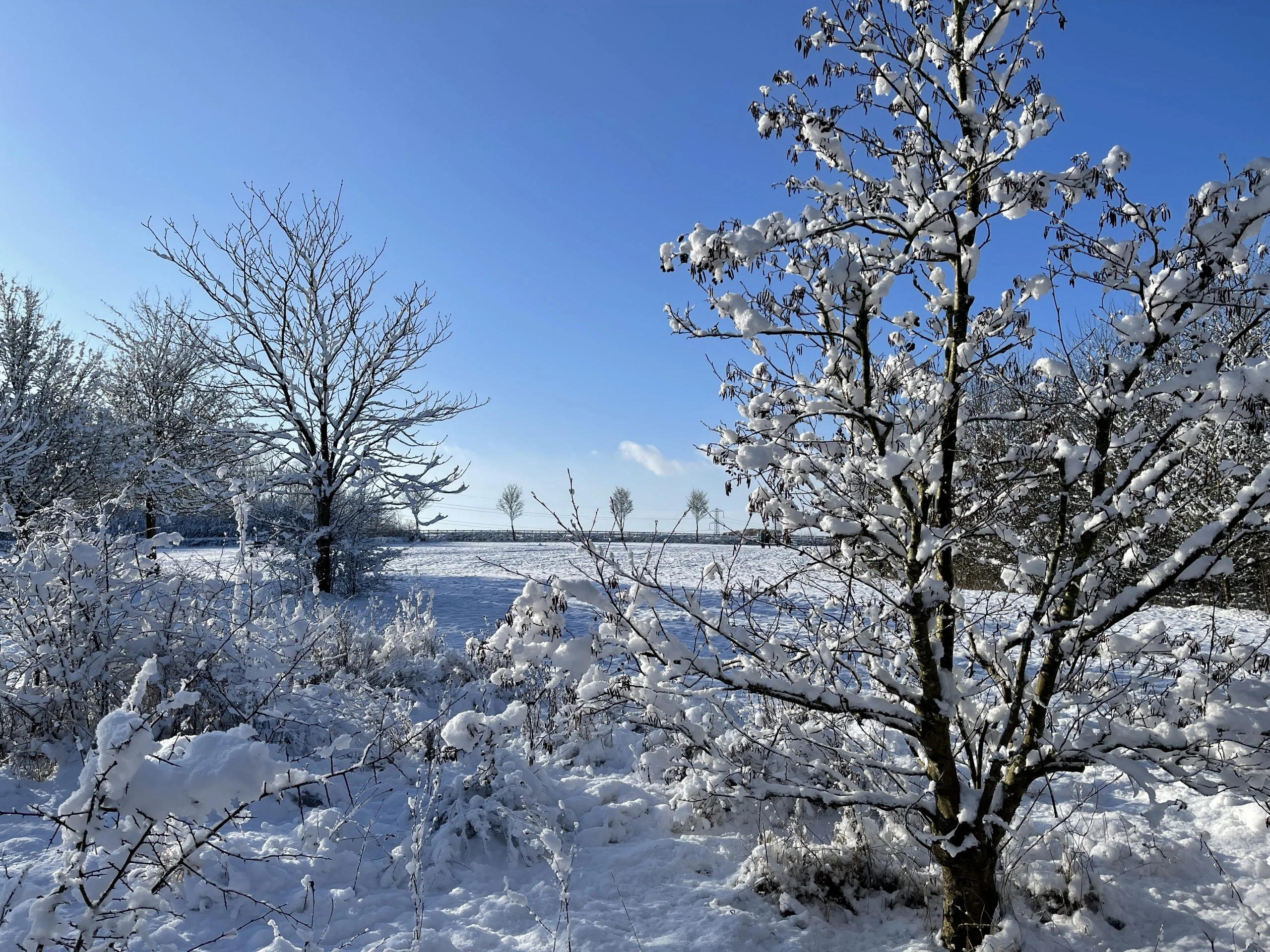 38 Pictures: Rushcliffe Country Park transformed into magical winter wonderland Rushcliffe Country Park - 25 January 2021 © westbridgfordwire.com