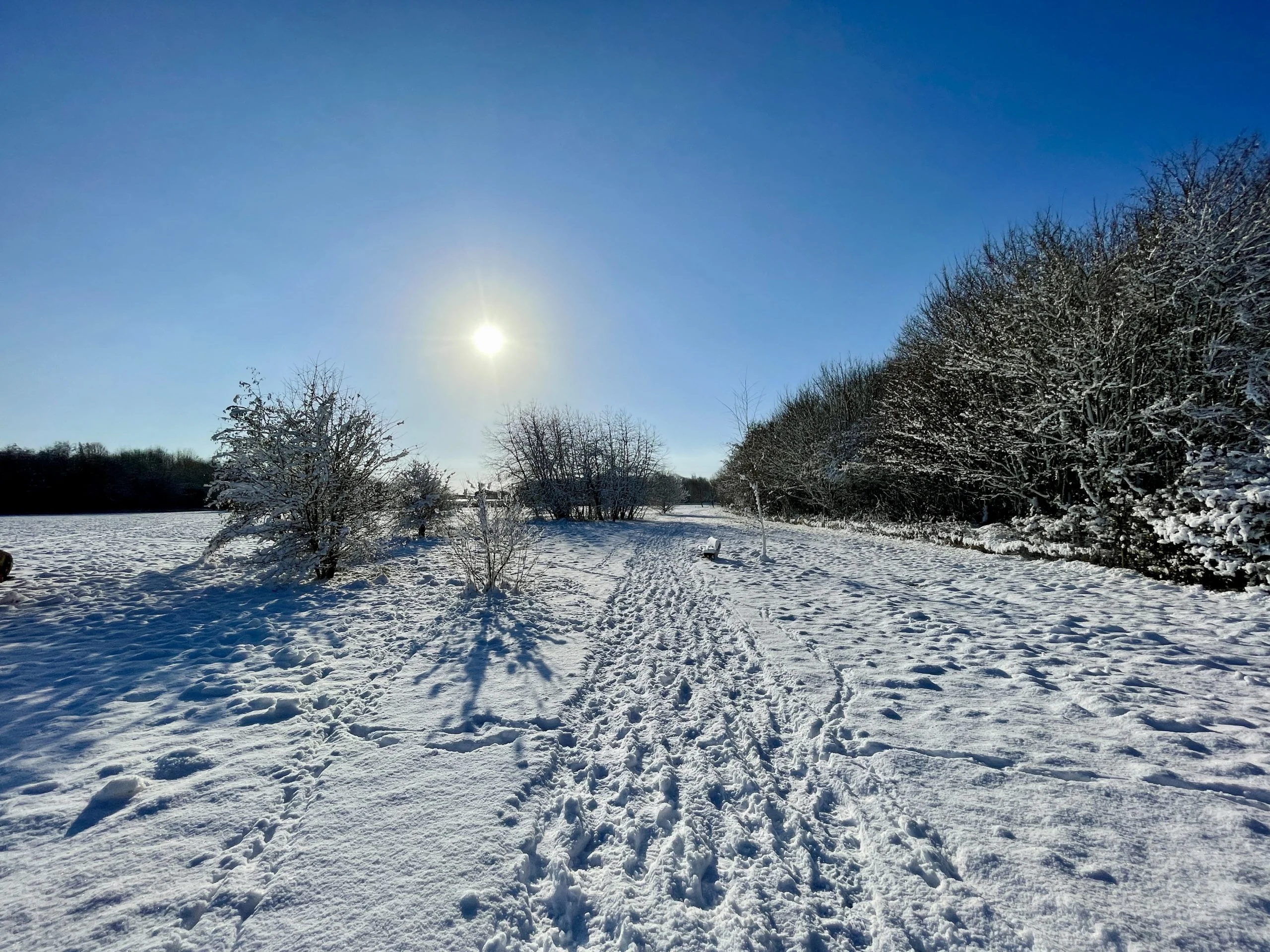 38 Pictures: Rushcliffe Country Park transformed into magical winter wonderland Rushcliffe Country Park - 25 January 2021 © westbridgfordwire.com
