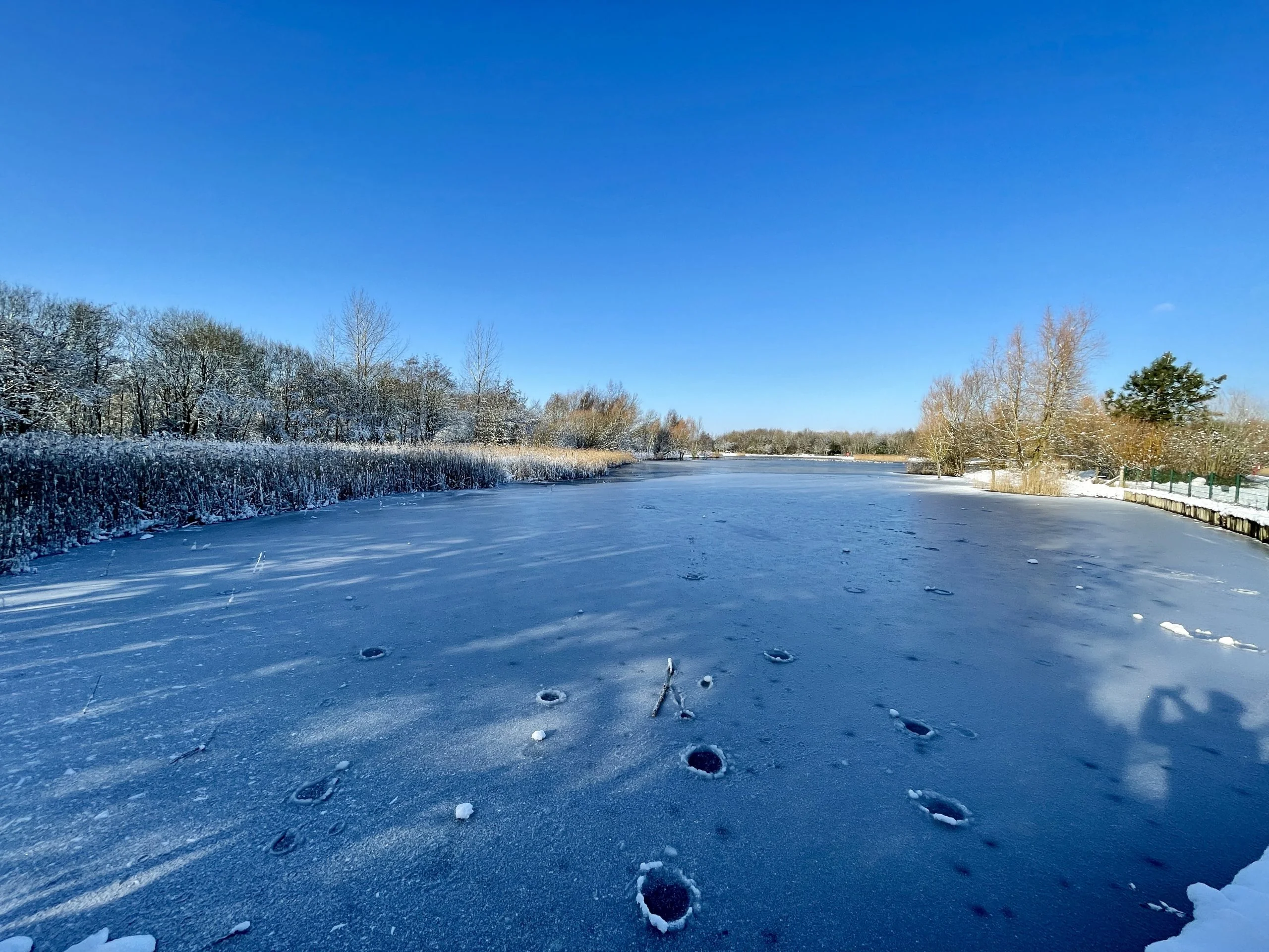 38 Pictures: Rushcliffe Country Park transformed into magical winter wonderland Rushcliffe Country Park - 25 January 2021 © westbridgfordwire.com