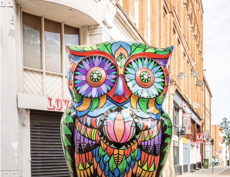 Owls return to Nottingham city centre for September 2021