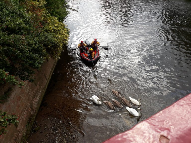 Firefighters and police rescue swan after it ingests fishing hook and line