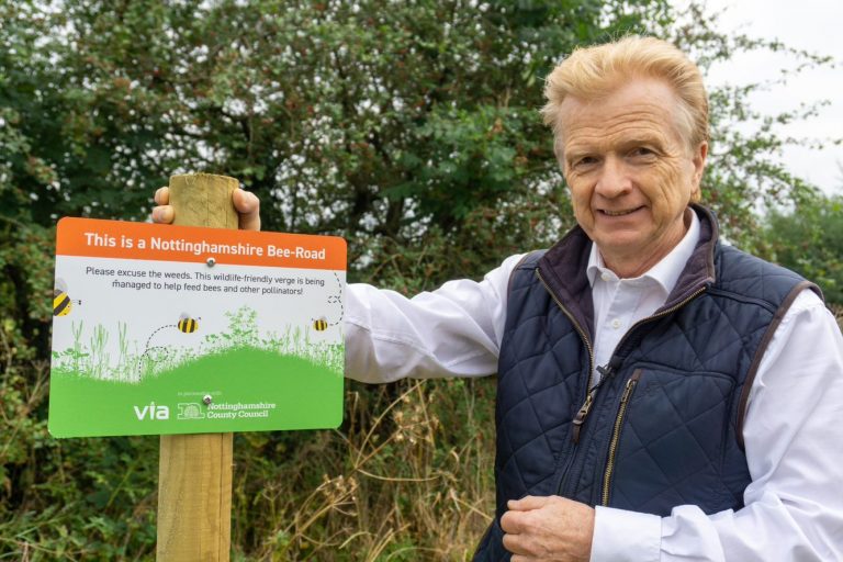 Plans for more ‘wildlife-friendly’ verges that are only cut once annually in Nottinghamshire