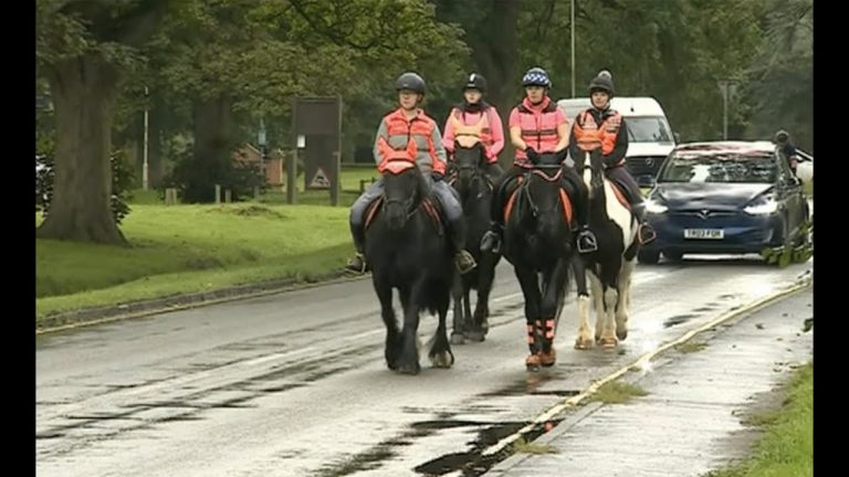 Video: Warning to drivers to slow down near horses