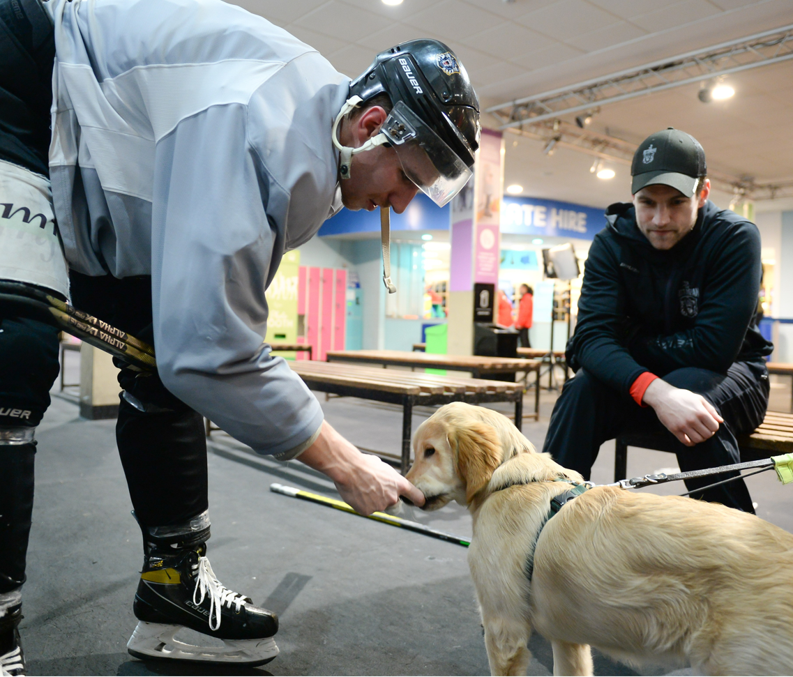 Guide dog puppy visits Nottingham Panthers