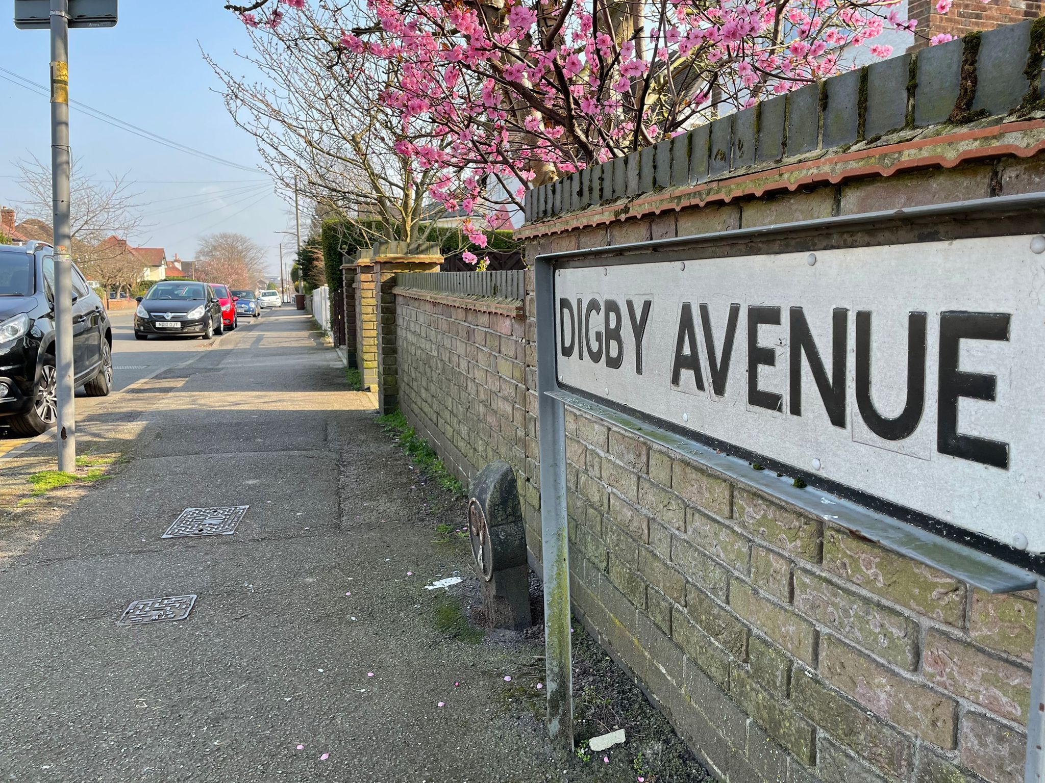 Digby Avenue in Mapperley 2