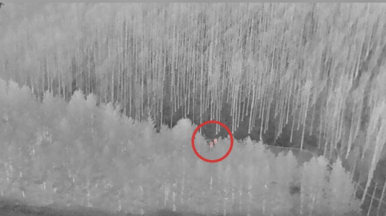 Police dog and drone catch thieves who drove the wrong way on the A1