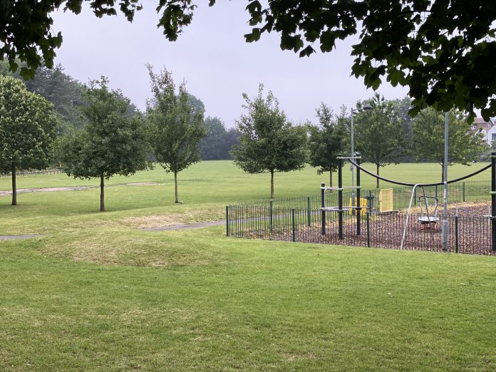 bridge field