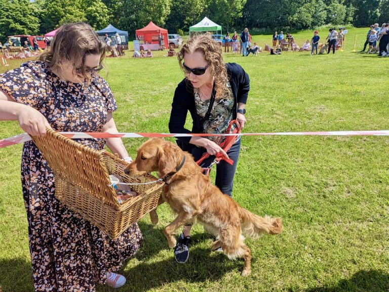 Pictures: Save the Children Fun Dog Show at Rushcliffe Country Park