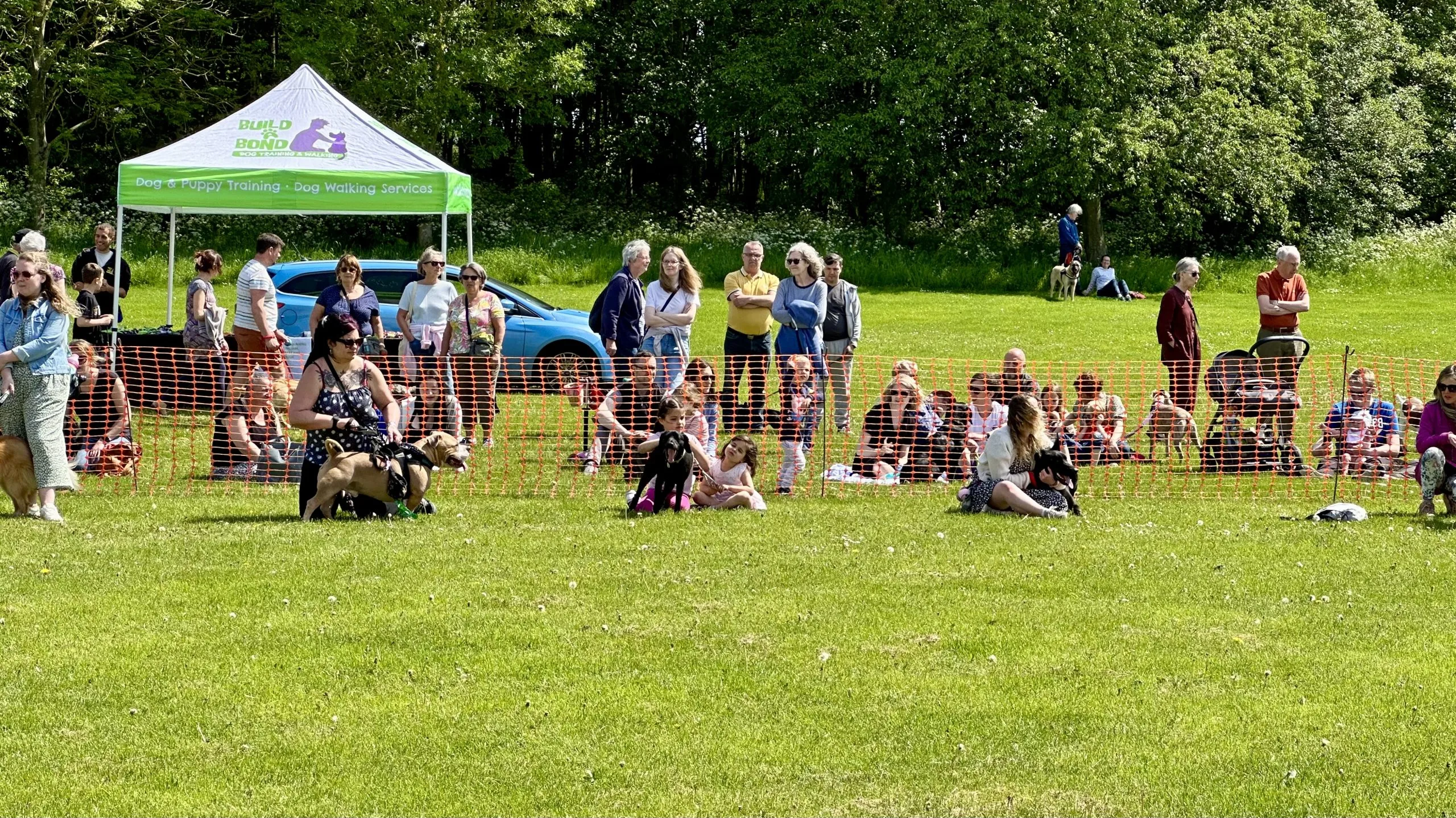 Pictures: Save the Children Fun Dog Show at Rushcliffe Country Park IMG 9219 scaled