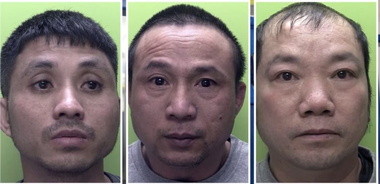 £90,000 cannabis grow found in one room at a Clifton house
