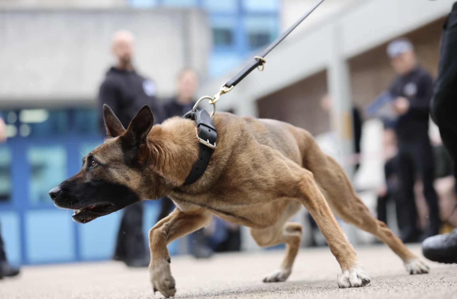 PD Amber from Police Scotland
