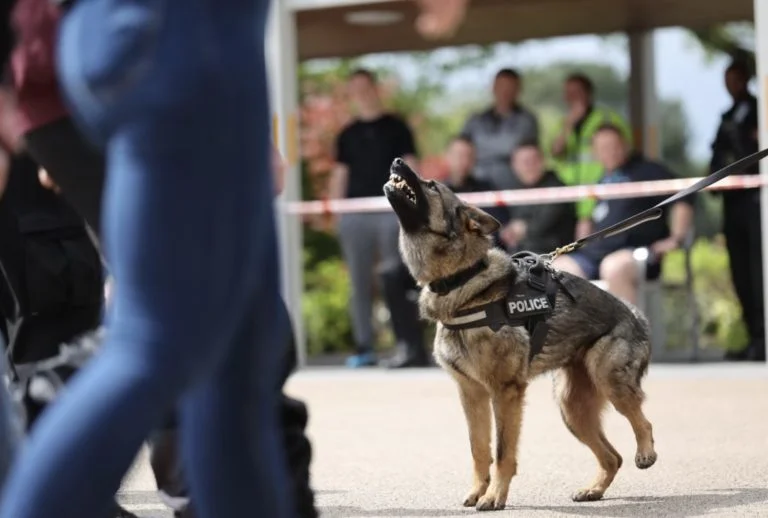 Police dogs confront ‘noisy crowd’ as national trials begin