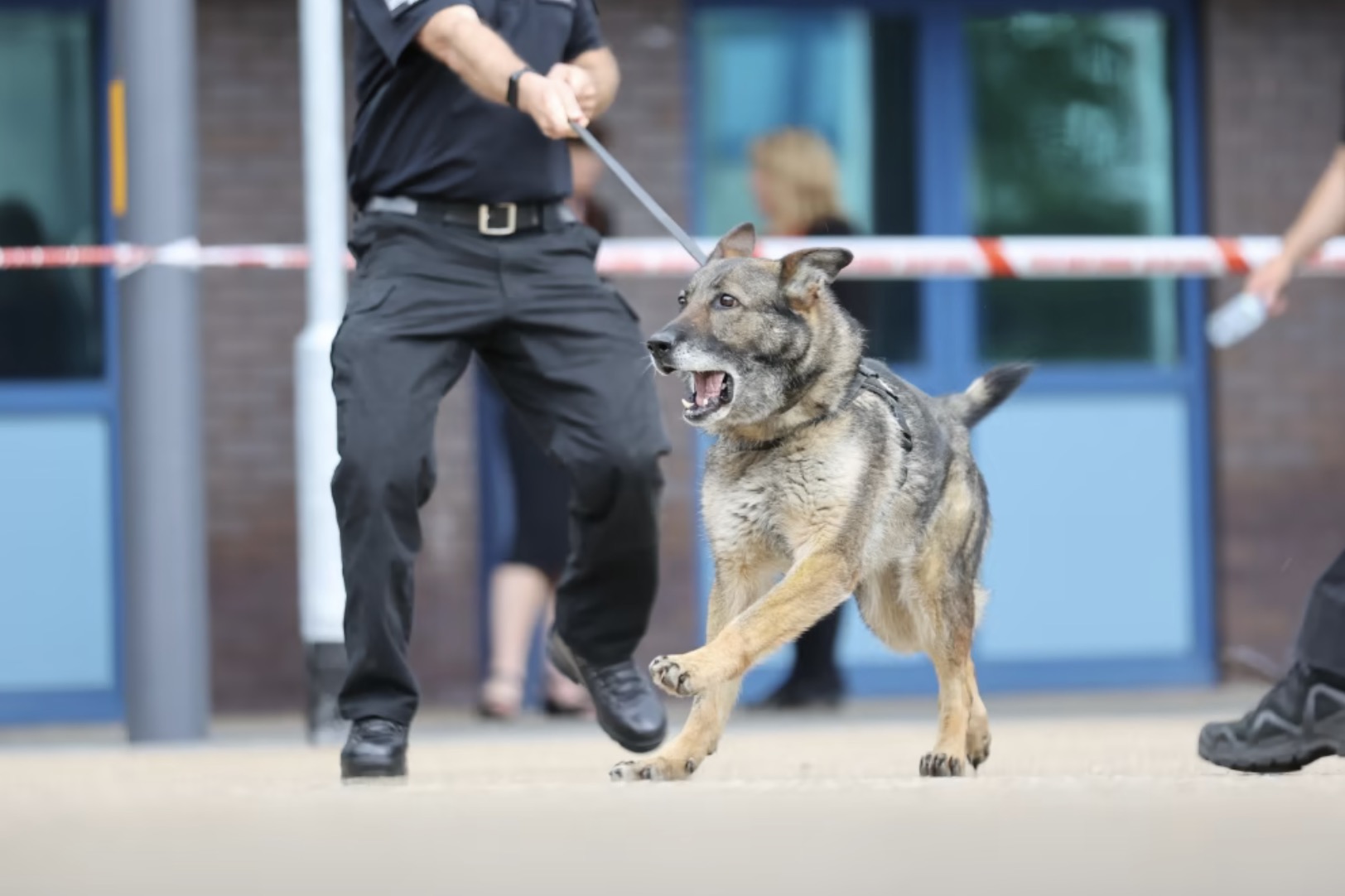 PD Luna from Police Scotland