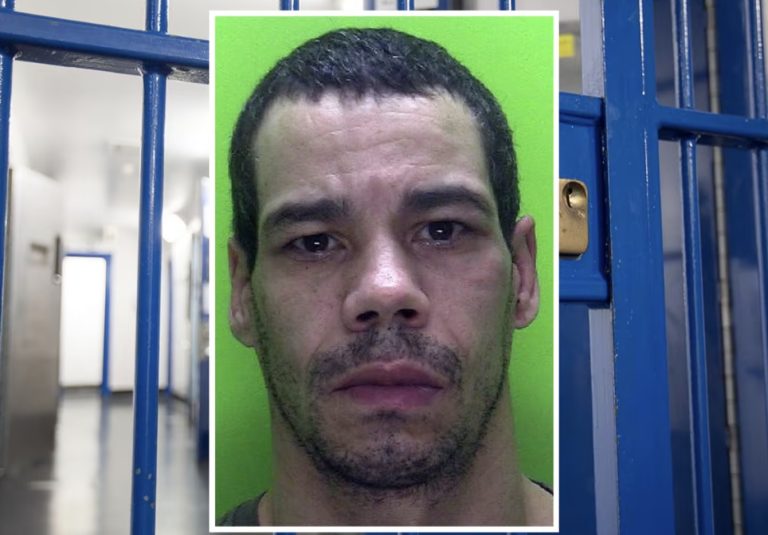 Burglar’s month-long crime spree ended by police intelligence analysts and detectives