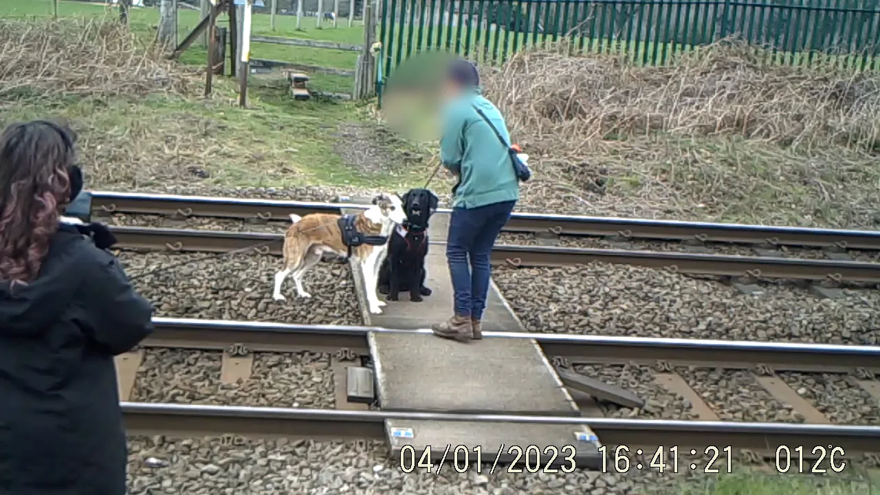 Shocking CCTV compilation of level crossing misuse released DOGS