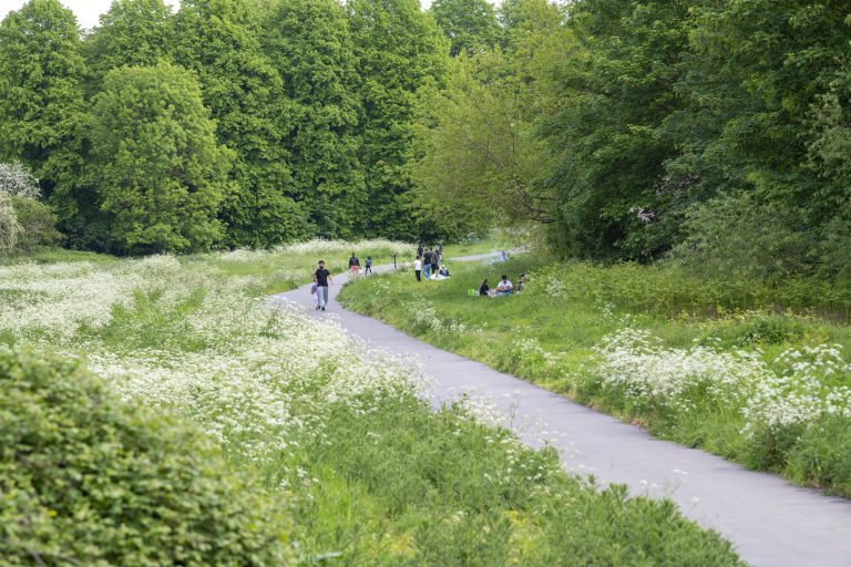 New wheelchair and pushchair friendly paths open up Colwick Country Park