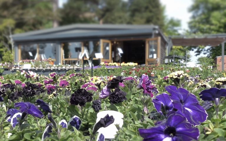 Nottingham City Council awards £730,000 catering contract for Woodthorpe Park Plant Nursery