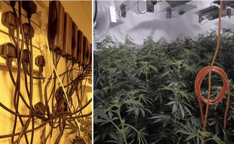 £200,000 cannabis factory found in Mapperley, Nottingham