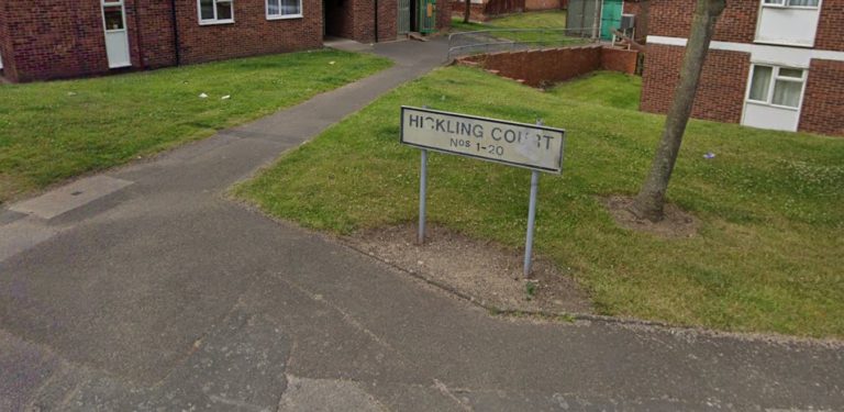 Woman falls from flat window as large dog attacks several people – two seriously injured