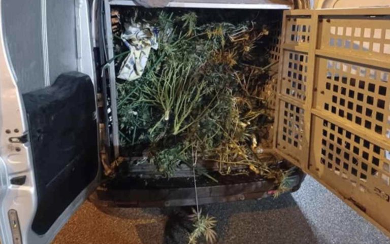 Nottingham: £500,000 cannabis farm found in factory unit