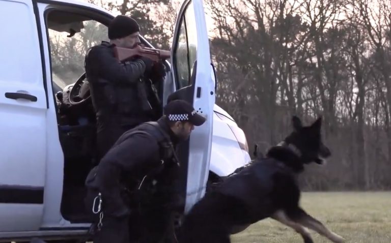 police dog