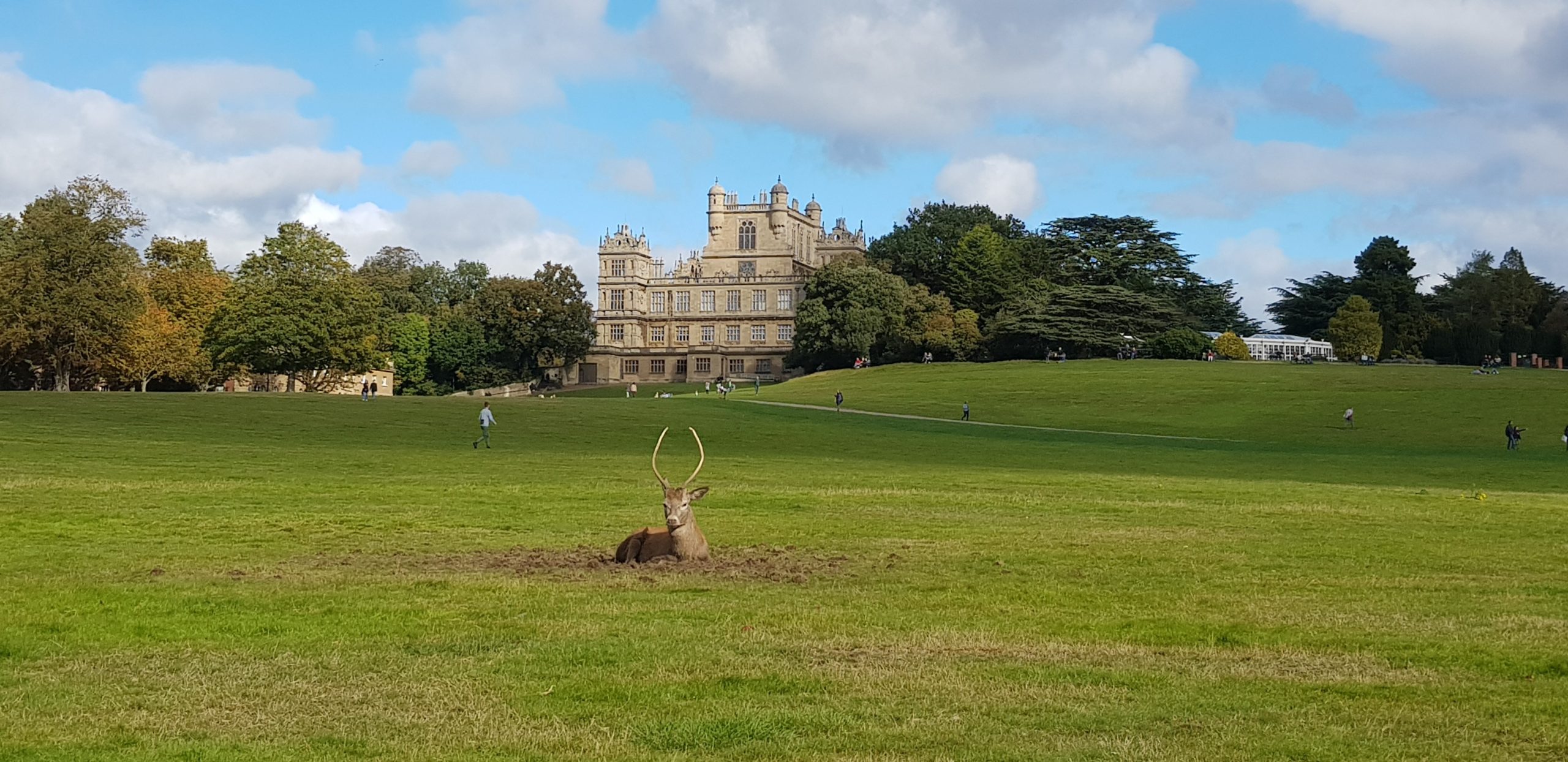 Wollaton Hall and Deer Park scaled