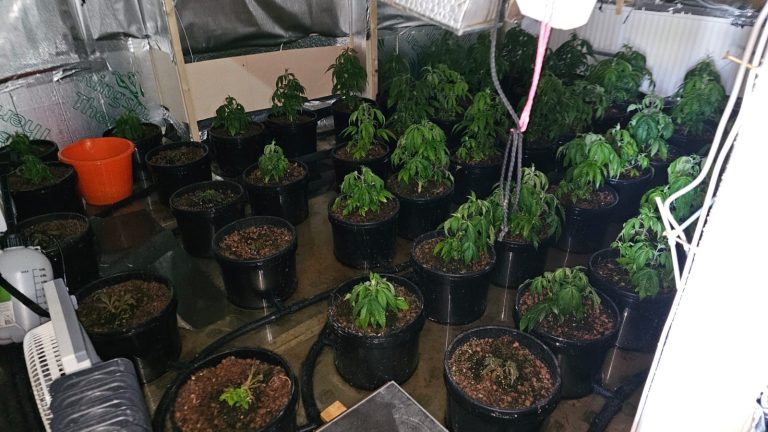 Police warning after cannabis grow leads to house fire