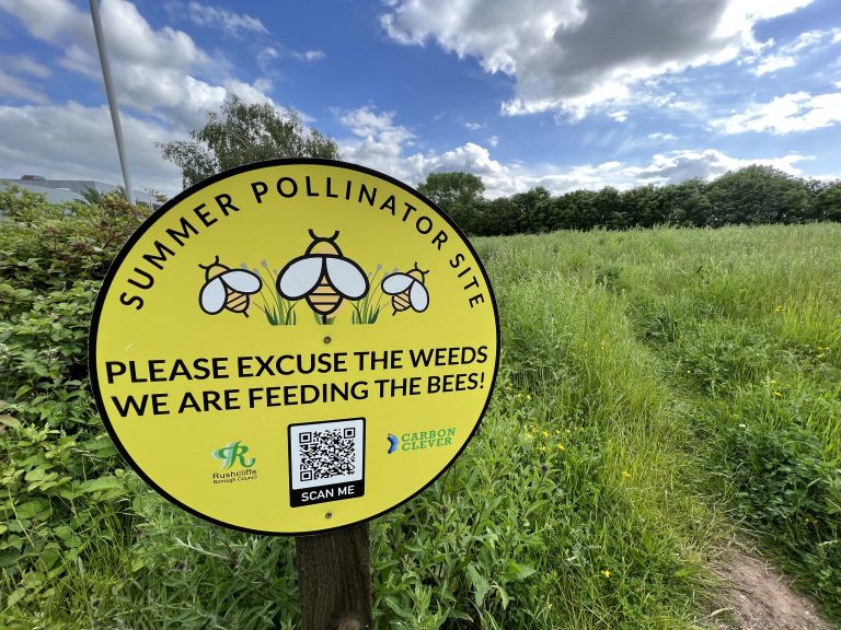 35 West Bridgford and Rushcliffe areas part of summer pollinator No Mow scheme