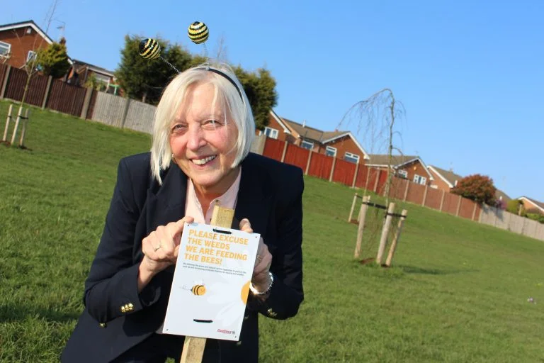 Gedling joins No Mow movement to encourage bees and other pollinators