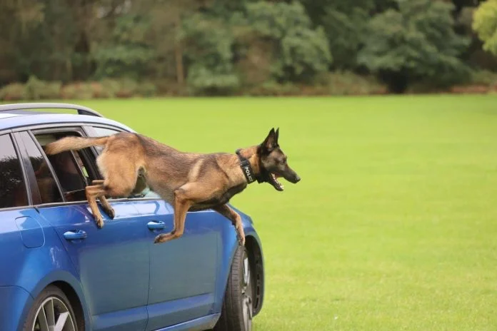 pd-rocket-car-window