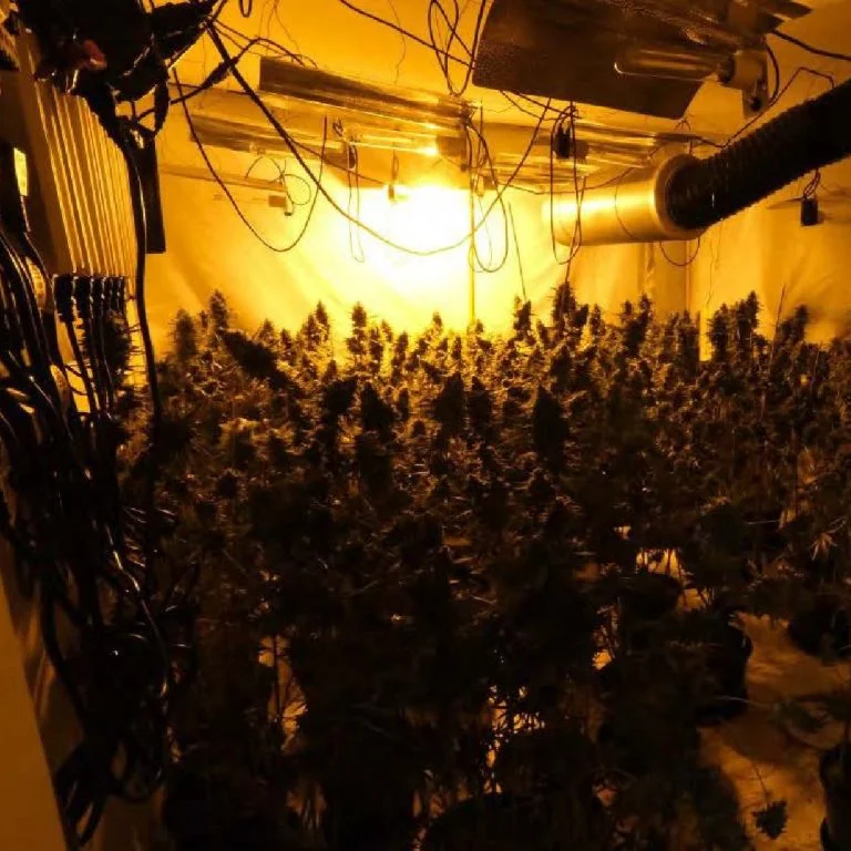 Man charged after £450,000 cannabis factory found in Rushcliffe