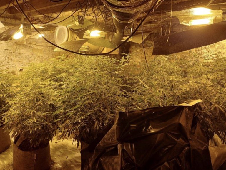 £80,000 cannabis grow discovered in Nottinghamshire village business premises