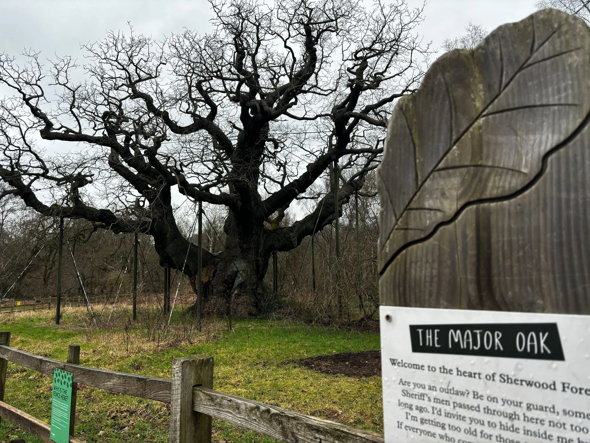 Sherwood Forest Day: Launch of new event