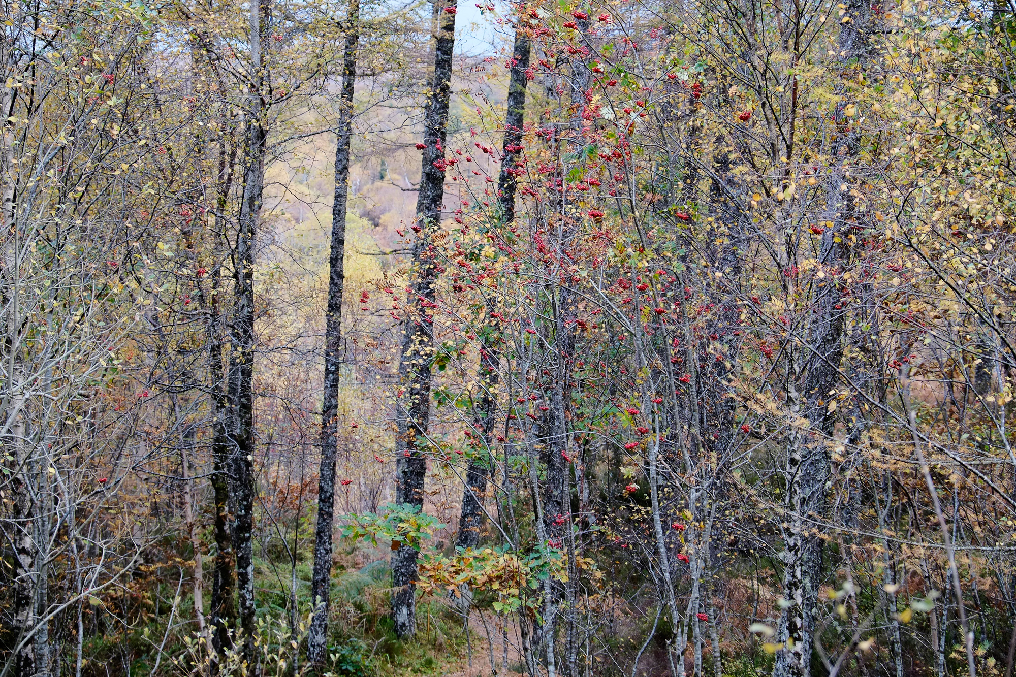 Harmonious Riot by photographer Matt Horstwood from Nottingham features in the display