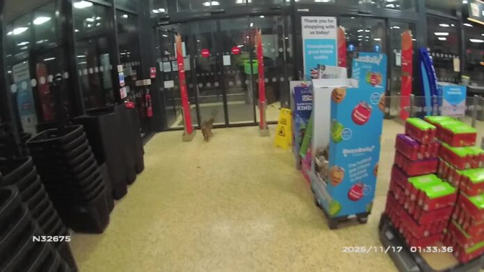 583631680_1295757362588860_4728713054523972953_n