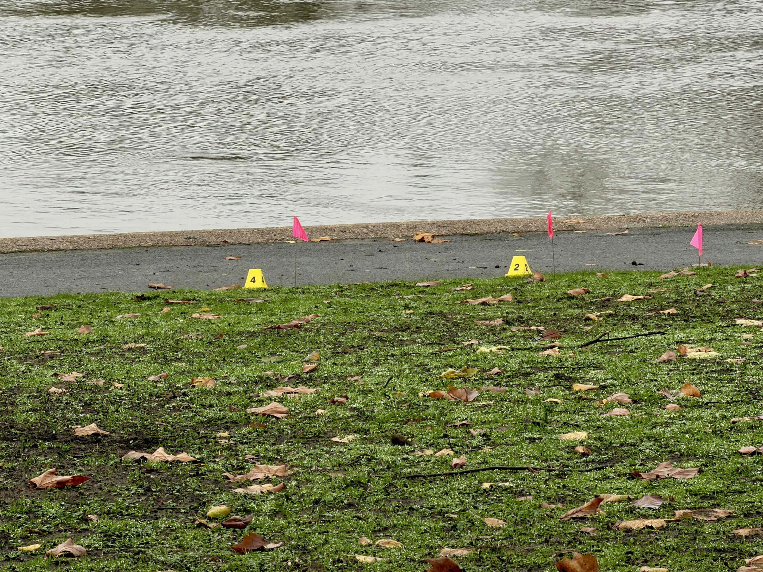 Police incident on Victoria Embankment IMG 1520 scaled