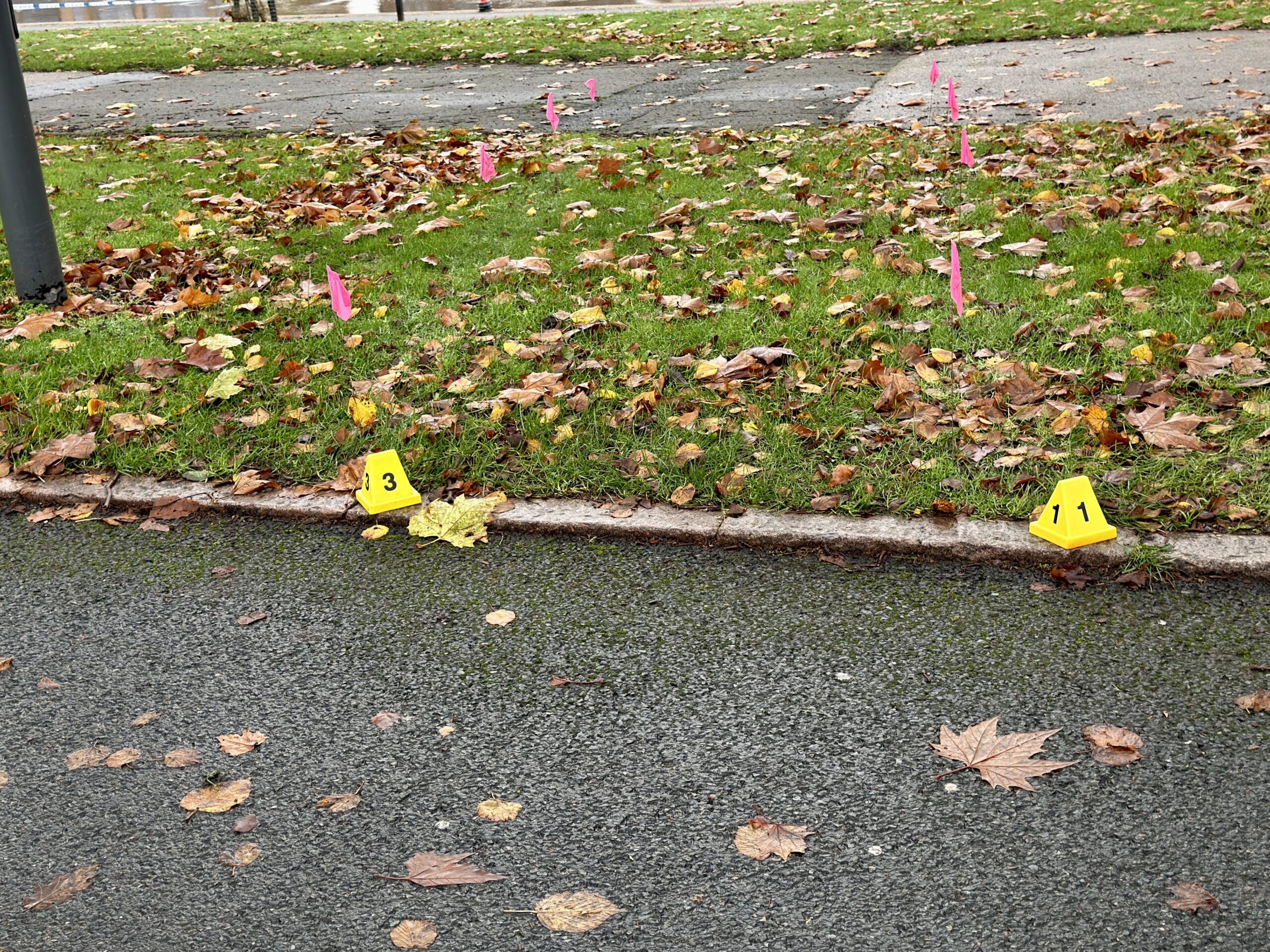 Police incident on Victoria Embankment IMG 1528 scaled