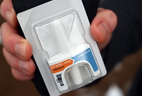 604679415 1278697494292022 7547994204044161239 n